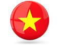 vietnam_icon